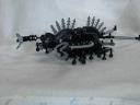 centipede1.jpg
