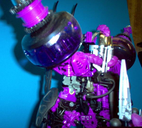 im000577.jpg