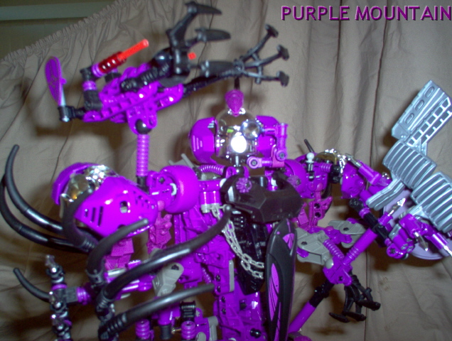 pm11.jpg
