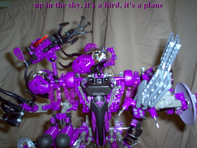 pm6.jpg
