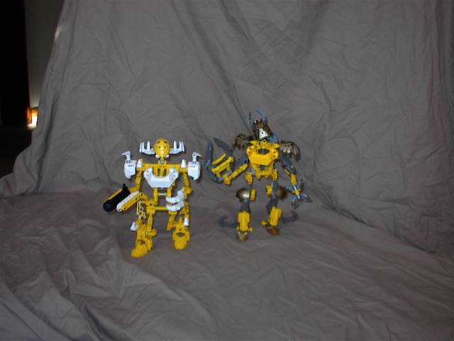 yellow-hessianb.jpg