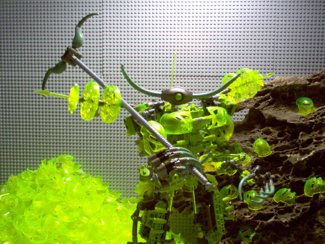 im000648.jpg