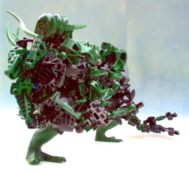 im000384.jpg