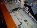 sdc11556.jpg
