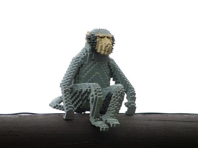 llca_048.jpg