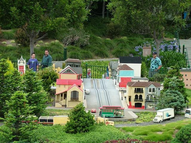 llca_204.jpg