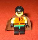 robin-1.jpg