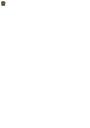 komau_great.png