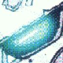 brav11.gif