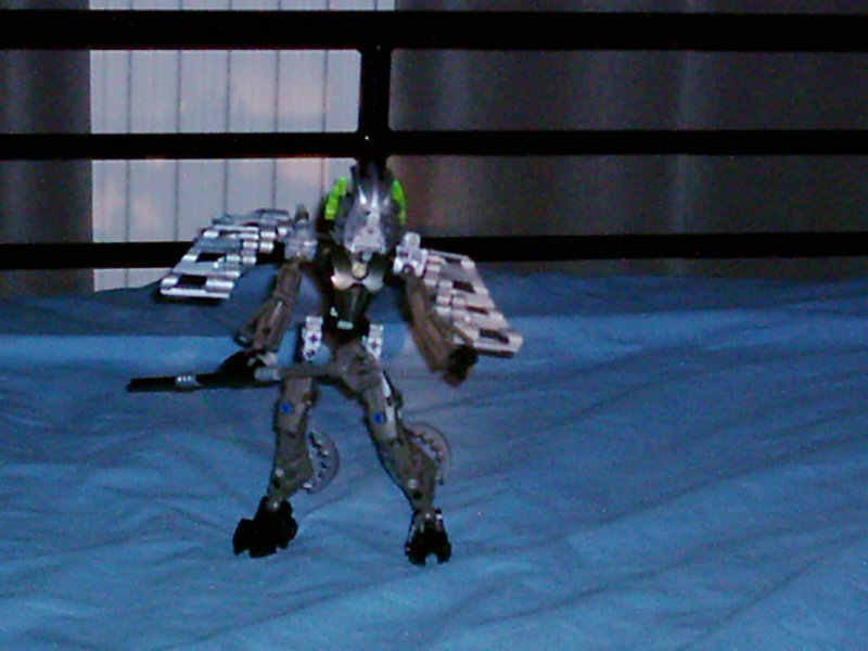 dsci0307.jpg