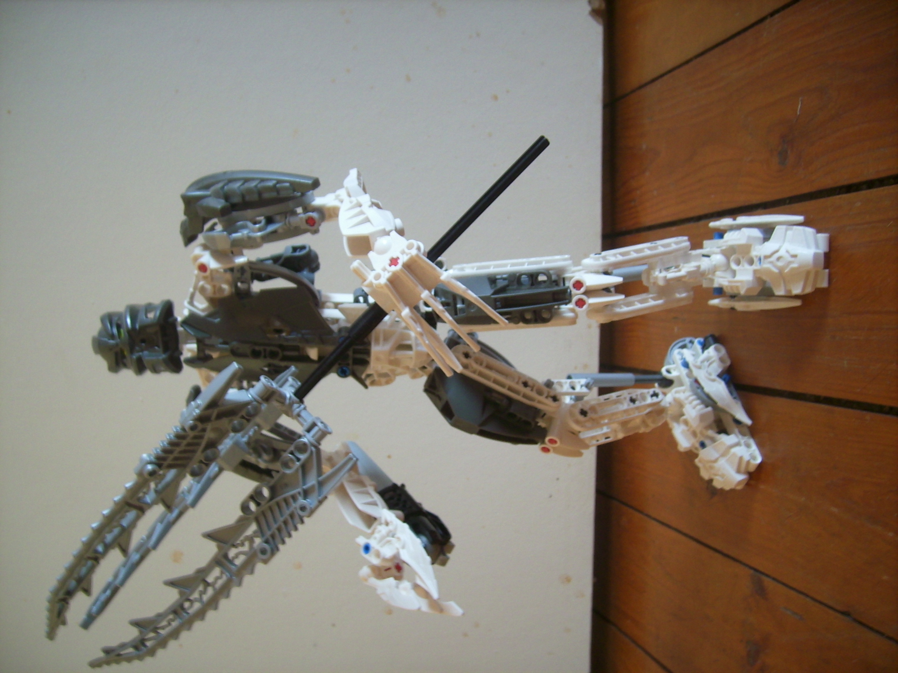 takanuva_2008.jpg