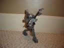 dsc05311.jpg