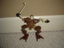 dsc05378.jpg