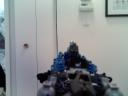 mocs_005.jpg