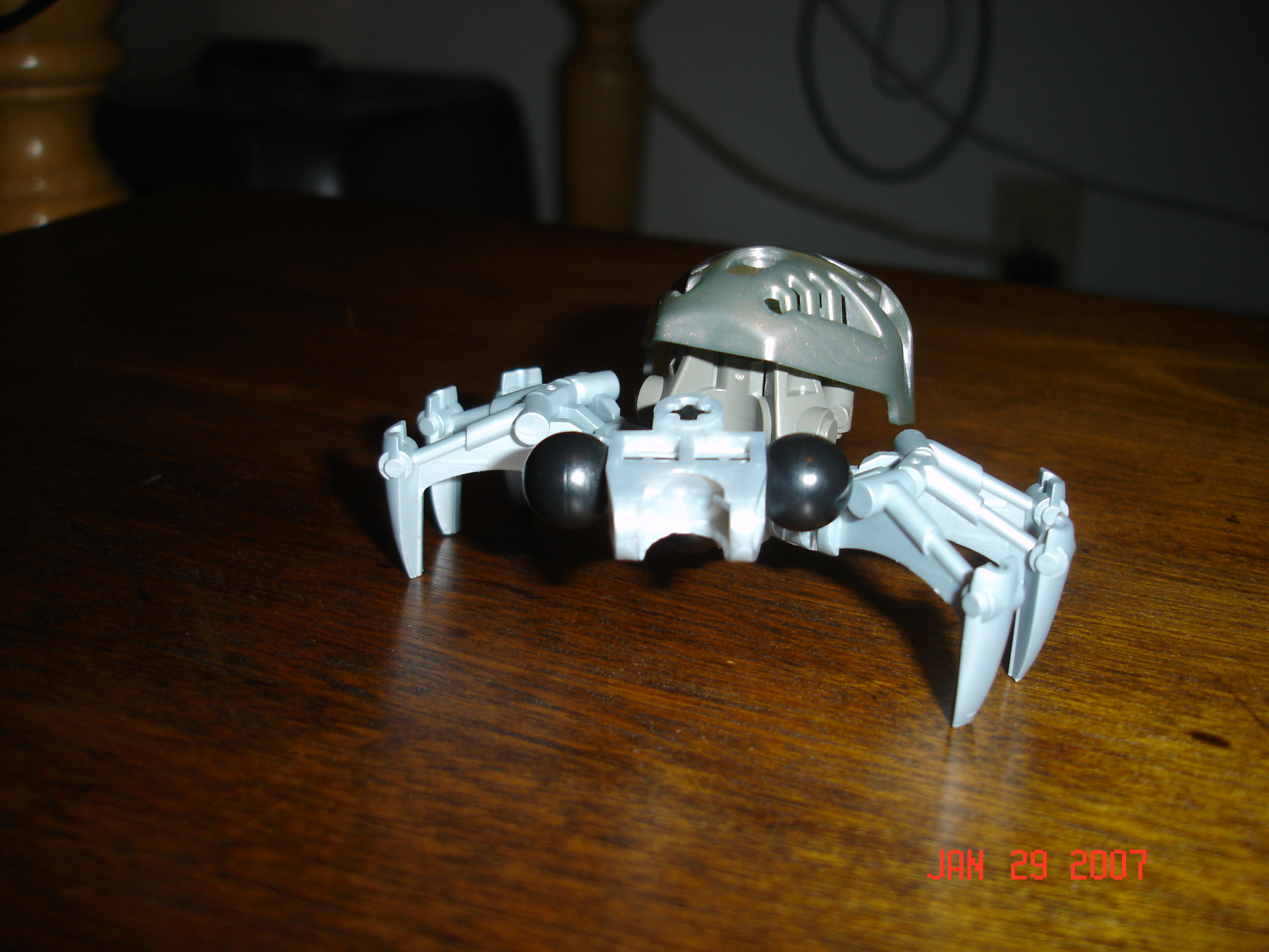 silver_fiouku_spider.jpg