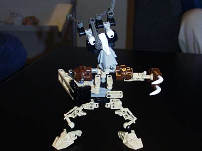 toa_mata_proto.jpg