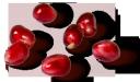 pomegranate-banner-sm.png