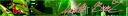 natalie_breez.png