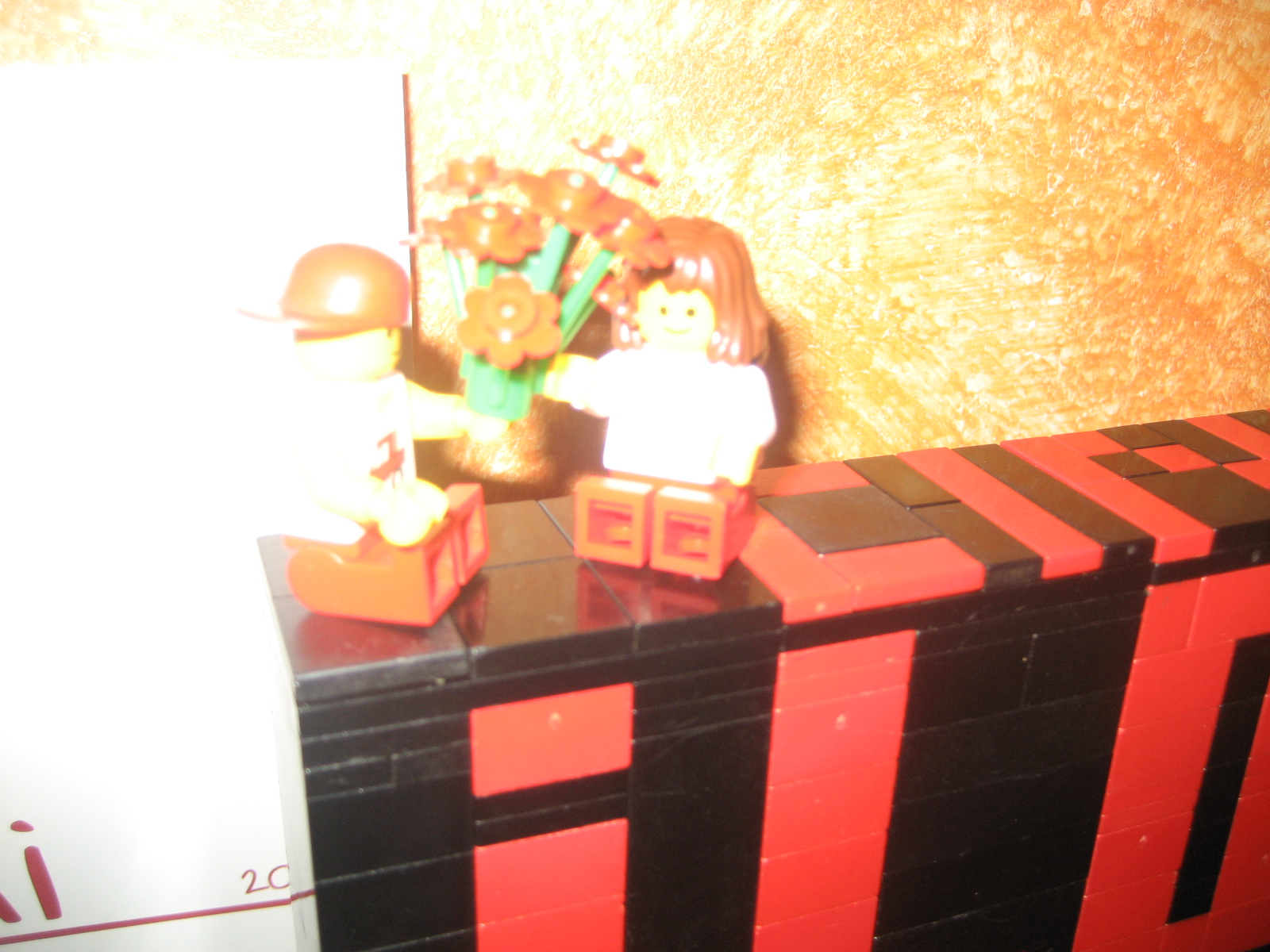 img_2937.jpg