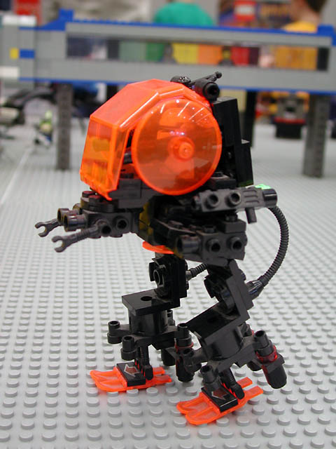 dscn5441.jpg