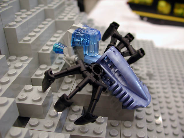dscn5447.jpg