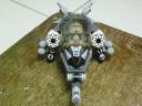 tiger-shark