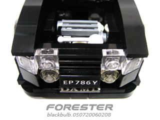 fore003.jpg