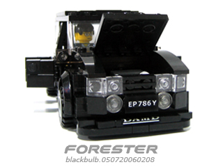fore005.jpg