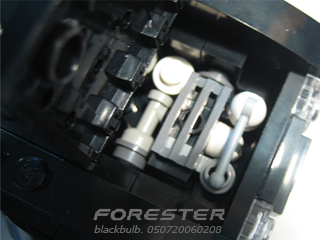 fore007.jpg
