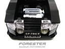 fore003.jpg