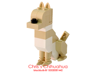 cc01.jpg