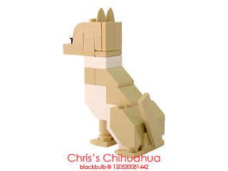 cc02.jpg