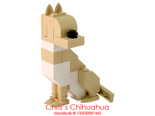 cc04.jpg