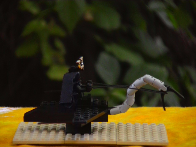 nazgul_and_fell_beast.jpg