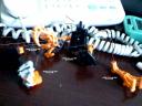 pic-m.jpg