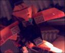 ray_open_mowl.bmp