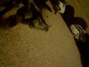 img-0003.jpg