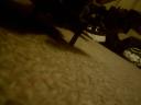 img-0006.jpg