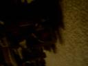 img-0015.jpg