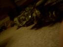 img-0030.jpg
