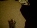 img-0031.jpg