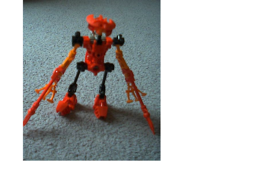 tahuthebohrok.bmp