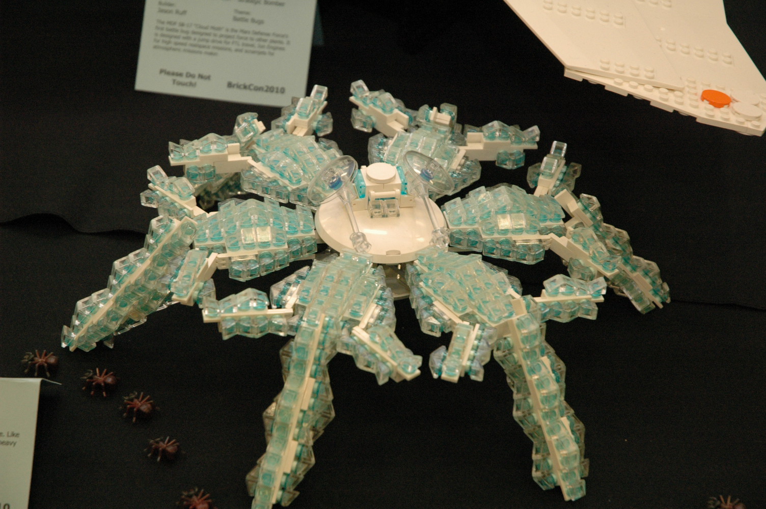 dsc_2987.jpg