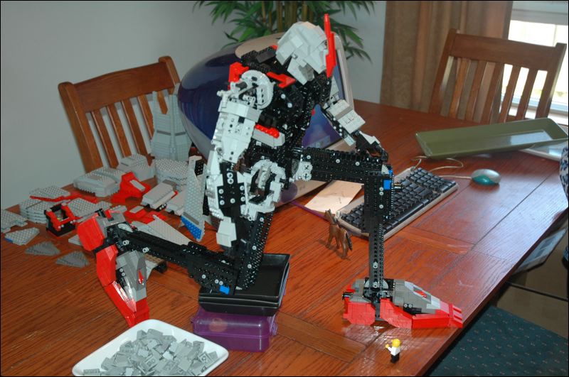 skeleton_1.jpg