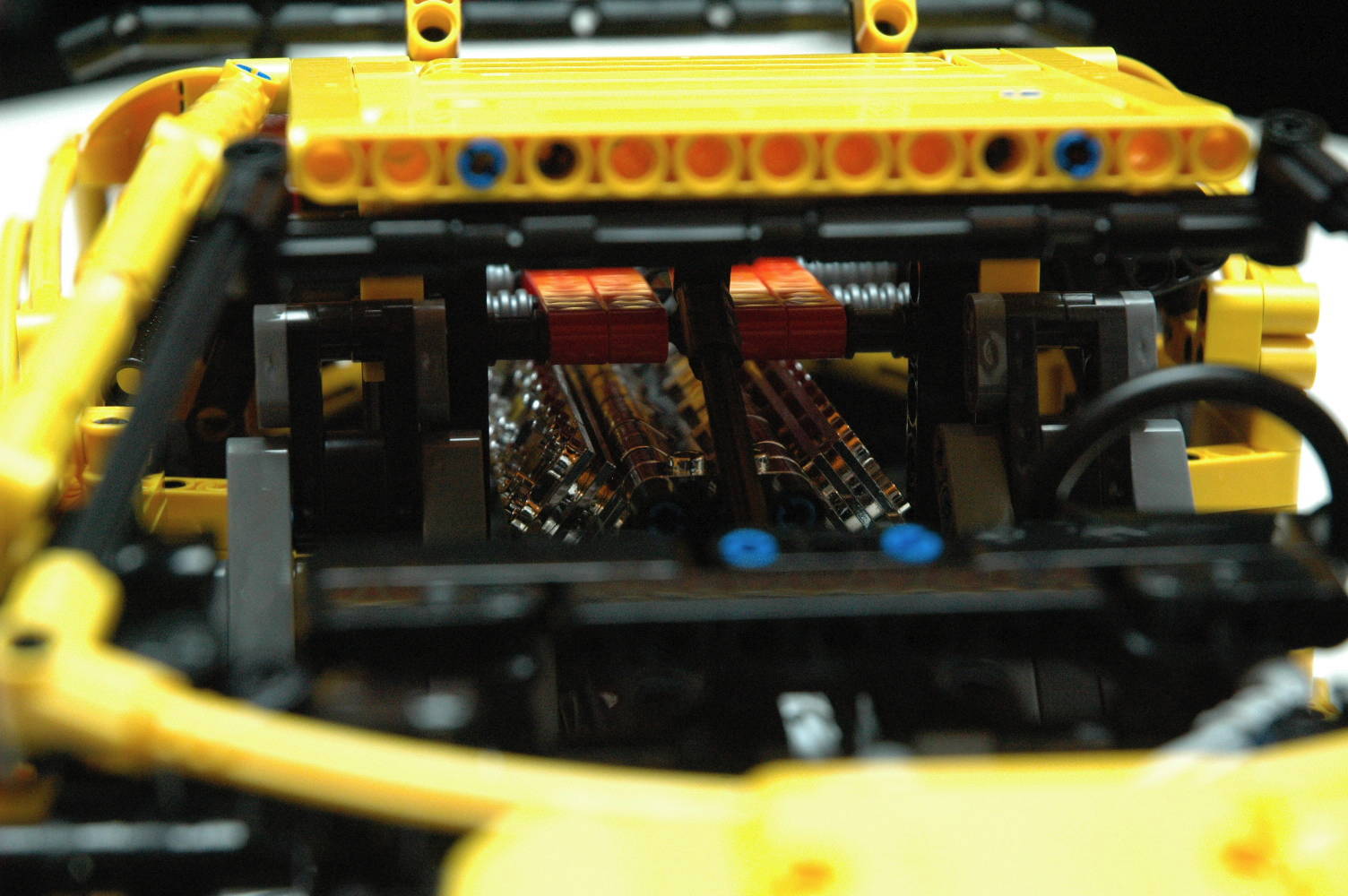 dsc_3134.jpg