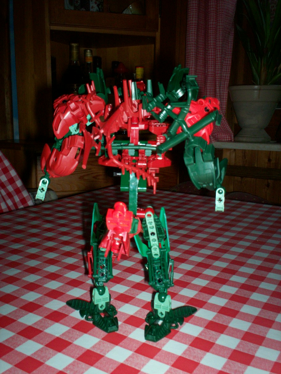 back_1.jpg