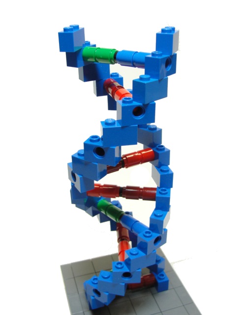 dna_2.jpg