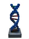 DNA