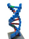 dna_2.jpg