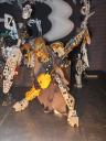 bionicle_band_114.jpg